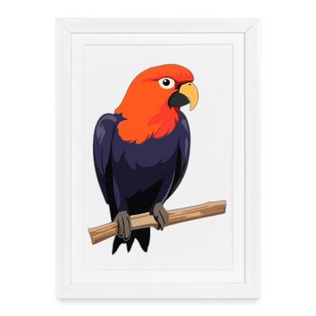 Oiseau perroquet - Affiche encadrée (27 × 37 cm) - blanc - Devant