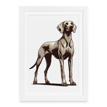 Weimaraner - Framed poster (27 × 37 cm) - white - Front