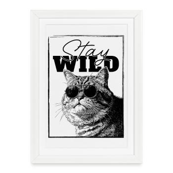 Stay Wild Cool Cat - Drôle Relaxed Chonky Kitty - Affiche encadrée (27 × 37 cm) - blanc - Devant