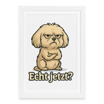 Really? – Annoyed Maltese - Framed poster (27 × 37 cm) - white - Front