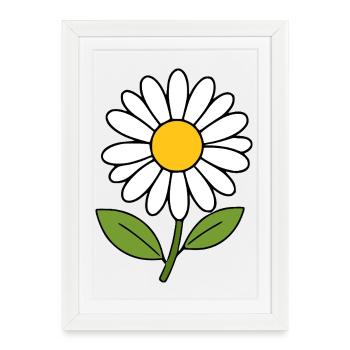Fleur blanche Blanche Fleur Marguerite - Affiche encadrée (27 × 37 cm) - blanc - Devant