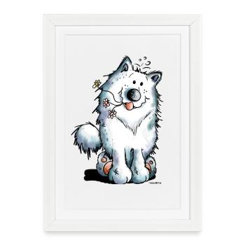 Mignon Samoyède Chien - Affiche encadrée (27 × 37 cm) - blanc - Devant
