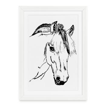 Cheval Fjord, norvégien, poney - Affiche encadrée (27 × 37 cm) - blanc - Devant