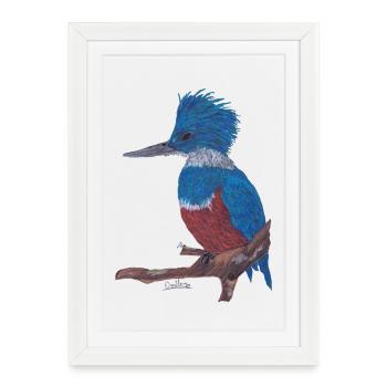 A charismatic kingfisher. - Framed poster (27 × 37 cm) - white - Front