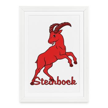 Signe du zodiaque Capricorne - Affiche encadrée (27 × 37 cm) - blanc - Devant