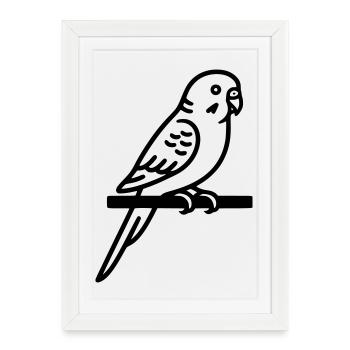 Perruche Animal de compagnie - Affiche encadrée (27 × 37 cm) - blanc - Devant