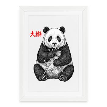 Panda asiatique - Affiche encadrée (27 × 37 cm) - blanc - Devant