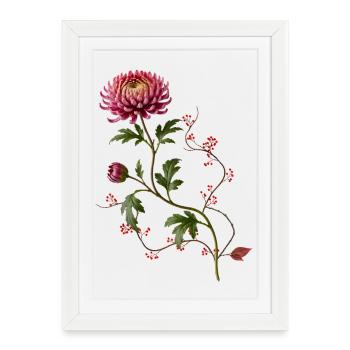 Chrysanthème avec baies dans le style zen - Affiche encadrée (27 × 37 cm) - blanc - Devant