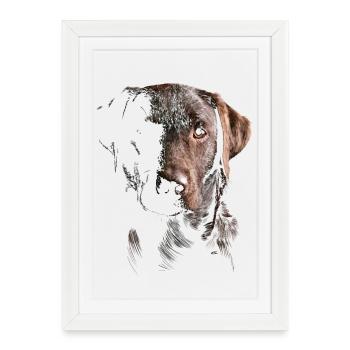 Labrador - Affiche encadrée (27 × 37 cm) - blanc - Devant