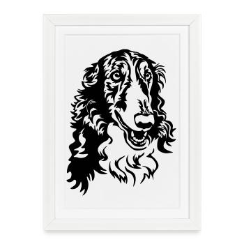 Barsoi Head - Framed poster (27 × 37 cm) - white - Front