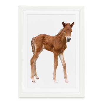 Horses T-shirt Gift Rider - Framed poster (27 × 37 cm) - white - Front