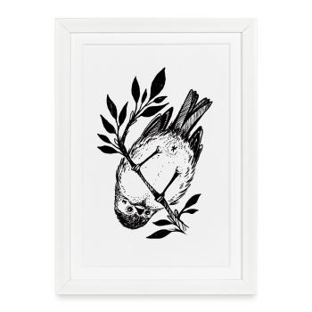 Petit oiseau coquin - Affiche encadrée (27 × 37 cm) - blanc - Devant