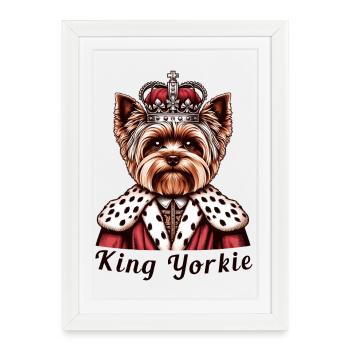 Yorkshire Terrier King - Framed poster (27 × 37 cm) - white - Front