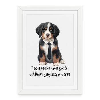 Bernese mountain dog - Framed poster (27 × 37 cm) - white - Front