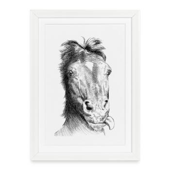 Cheval - Affiche encadrée (27 × 37 cm) - blanc - Devant