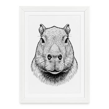 Capybara - Framed poster (27 × 37 cm) - white - Front