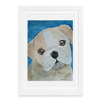 Bouledogue, Aquarelle, Chiot - Affiche encadrée (27 × 37 cm) - blanc - Devant