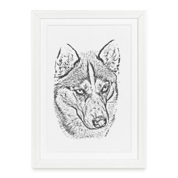 Wolf Gaze Grayscale Illustration - Framed poster (27 × 37 cm) - white - Front