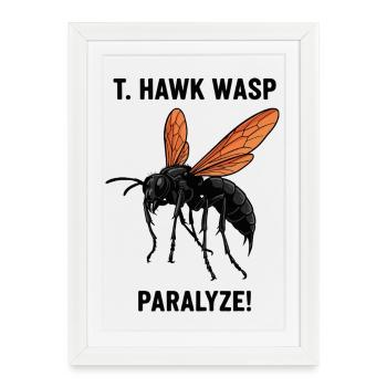 Pepsis Danger Paralyzes Tarantula Hawk Wasp - Framed poster (27 × 37 cm) - white - Front