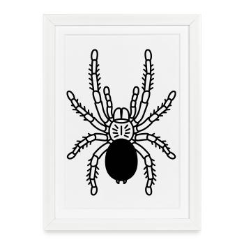 tarantula tarantula - Framed poster (27 × 37 cm) - white - Front