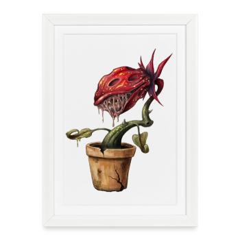 Blood-red plant in pot - Framed poster (27 × 37 cm) - white - Front