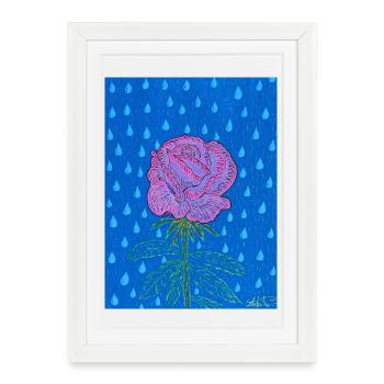 Rose dans le bleu pluie - Affiche encadrée (27 × 37 cm) - blanc - Devant