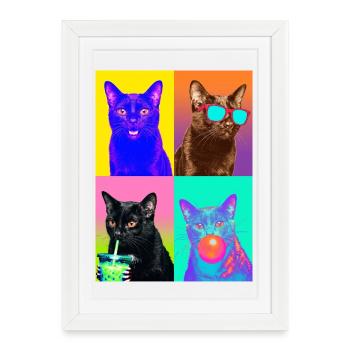 Cats Bombay Cat - Framed poster (27 × 37 cm) - white - Front