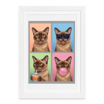 Chats Chat de Birmanie - Affiche encadrée (27 × 37 cm) - blanc - Devant