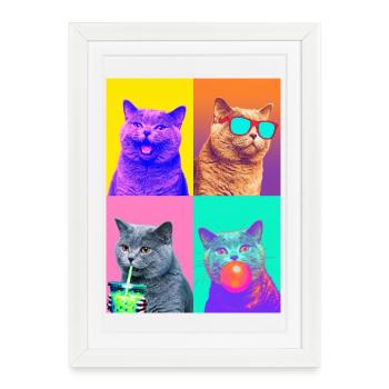 Chats Chat à poil court britannique - Affiche encadrée (27 × 37 cm) - blanc - Devant