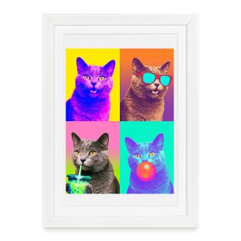 Chats Chat chartreux - Affiche encadrée (27 × 37 cm) - blanc - Devant