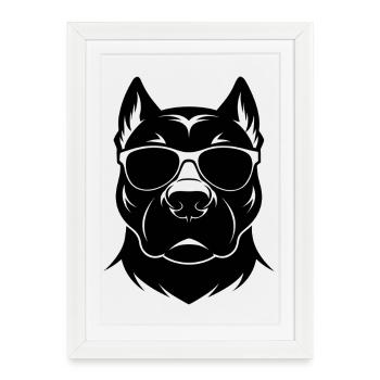 Lunettes de soleil Pitbull - Affiche encadrée (27 × 37 cm) - blanc - Devant