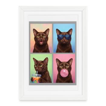Cats Havana Cat - Framed poster (27 × 37 cm) - white - Front