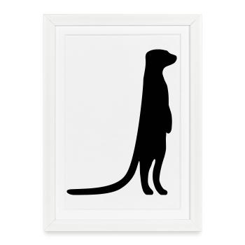 funny meerkat curious animal - Framed poster (27 × 37 cm) - white - Front