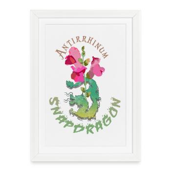 Fleurs de dragon - Affiche encadrée (27 × 37 cm) - blanc - Devant