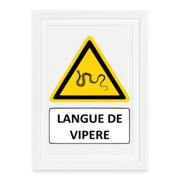 Langue de vipère - Affiche encadrée (27 × 37 cm) - blanc - Devant
