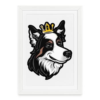 Couronne de chien Border Collie - Affiche encadrée (27 × 37 cm) - blanc - Devant
