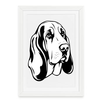 Basset Hound_Hund_schwarzweiss - Affiche encadrée (27 × 37 cm) - blanc - Devant