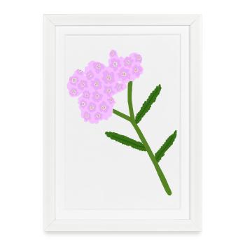 Grappe de fleurs d’achillée pastel - Affiche encadrée (27 × 37 cm) - blanc - Devant