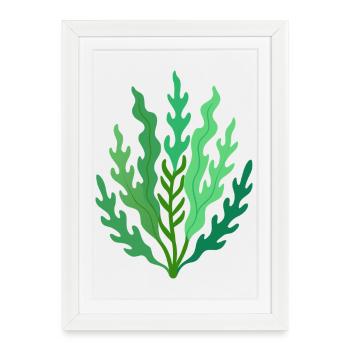 seaweed - Framed poster (27 × 37 cm) - white - Front