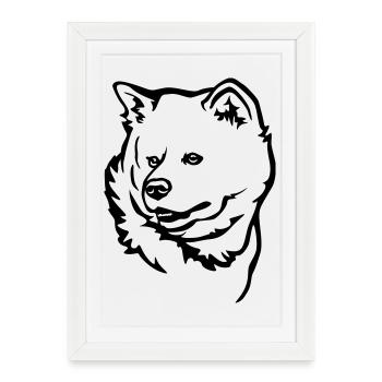 Tête d’Akita - Affiche encadrée (27 × 37 cm) - blanc - Devant