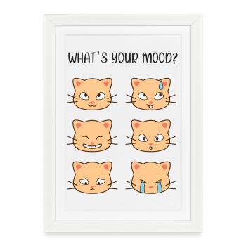 Chats - Quelle est votre humeur ? - Affiche encadrée (27 × 37 cm) - blanc - Devant