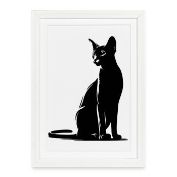 Chat abyssin - Affiche encadrée (27 × 37 cm) - blanc - Devant