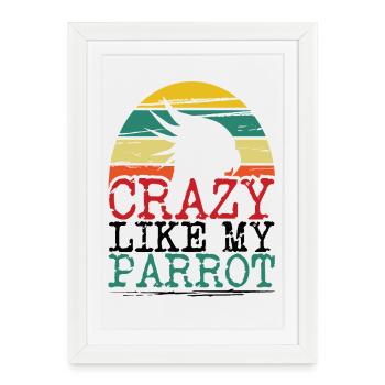 Crazy Like My Parrot Bird Lover Gift - Affiche encadrée (27 × 37 cm) - blanc - Devant