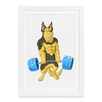 Berger allemand Haltérophilie - Affiche encadrée (27 × 37 cm) - blanc - Devant