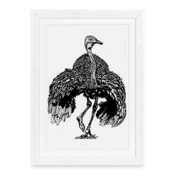 Autruche - Affiche encadrée (27 × 37 cm) - blanc - Devant