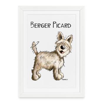 Berger Picard - Chien- Cadeau - Affiche encadrée (27 × 37 cm) - blanc - Devant