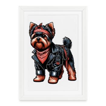 Yorkshire Terrier Rocker - Framed poster (27 × 37 cm) - white - Front