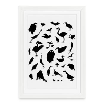 BIRDS - Framed poster (27 × 37 cm) - white - Front