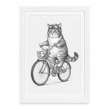 Cycliste chat avec des lunettes - Affiche encadrée (27 × 37 cm) - blanc - Devant