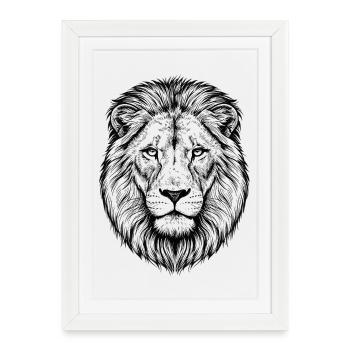 Lion - Affiche encadrée (27 × 37 cm) - blanc - Devant